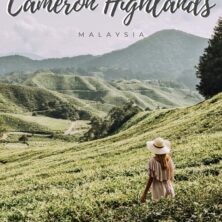 12 things to do in the cameron highlands (2)