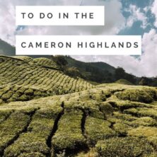 12 things to do in the cameron highlands (2)