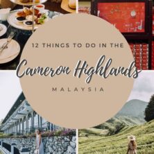 12 things to do in the cameron highlands (2)